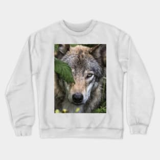 Timber Wolf Crewneck Sweatshirt